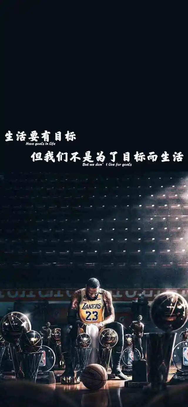 如何利用力量训练提高篮球运动员的弹跳力?_1